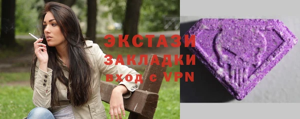 шишки Заводоуковск