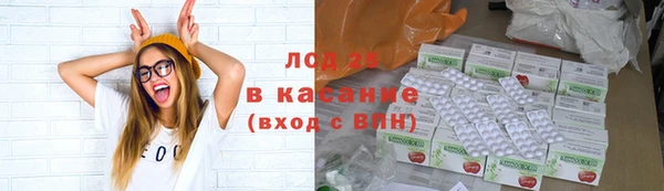 шишки Заводоуковск
