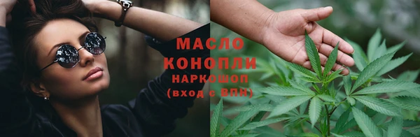шишки Заводоуковск