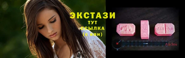 шишки Заводоуковск