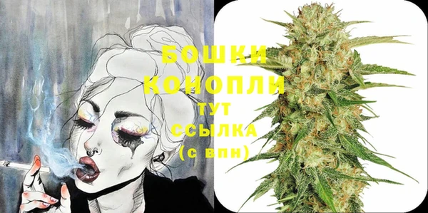 шишки Заводоуковск