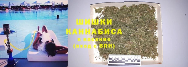 шишки Заводоуковск