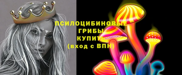 МДПВ Заволжск