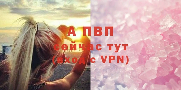 шишки Заводоуковск